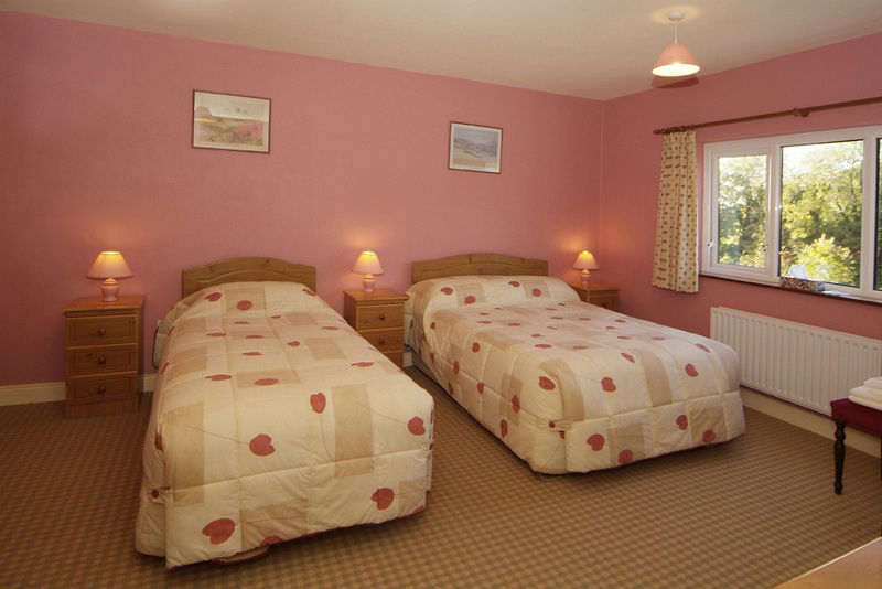 Pk Lodge Bed And Breakfast Skibbereen Kültér fotó