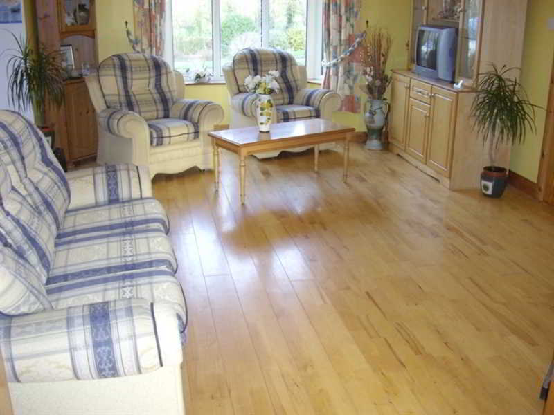 Pk Lodge Bed And Breakfast Skibbereen Kültér fotó